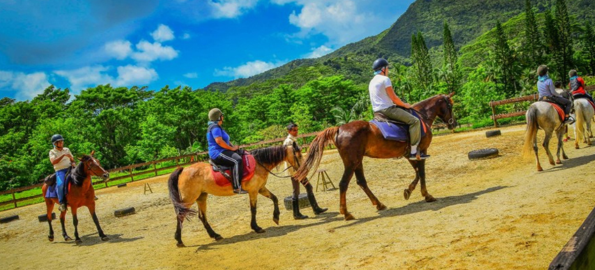 Mauritius Horse Riding